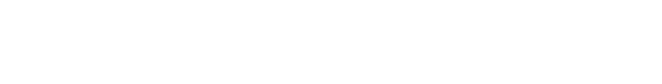 Arielle Executive